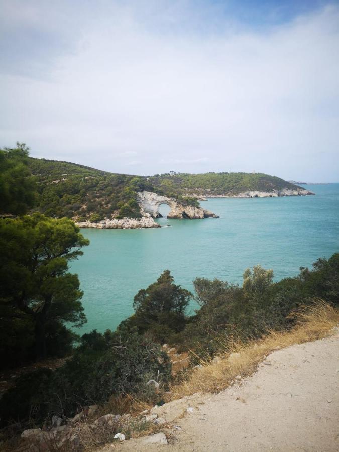 Vieste Holiday Exterior foto